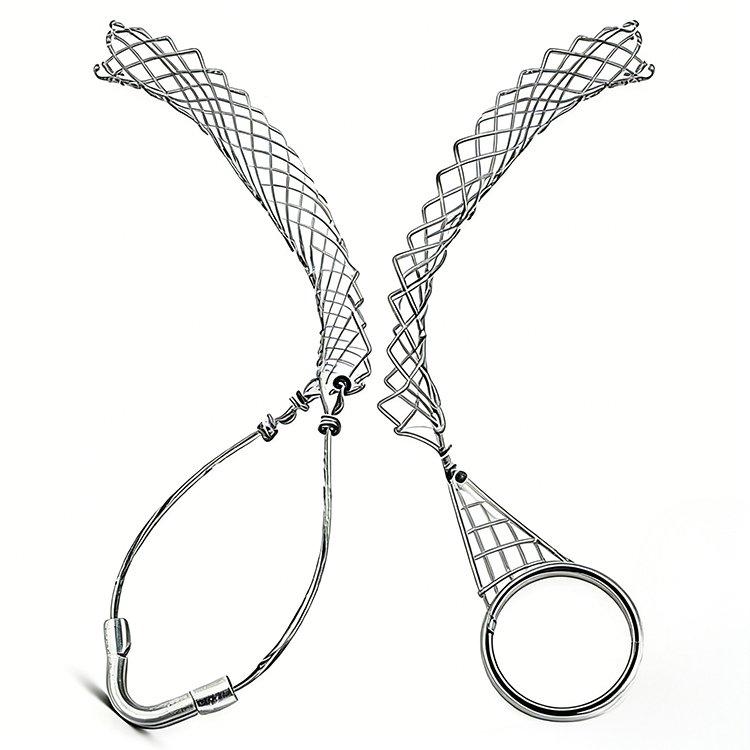 Two stainless steel wire egg whisks with flexible mesh heads, one with a hook, the other with a ring, on white background.